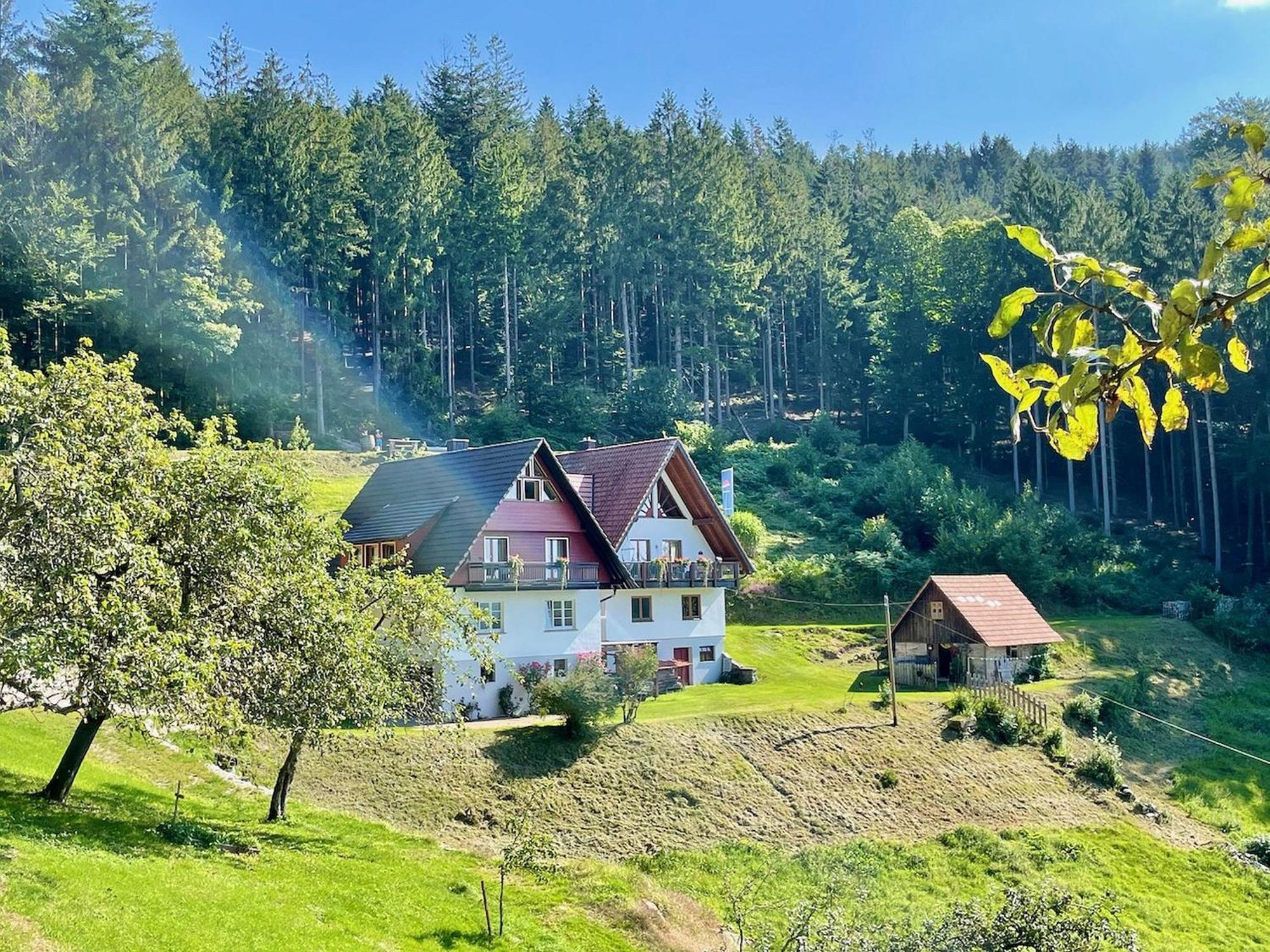 Ferienwohnung Deine Rauszeit Seebach Luaran gambar